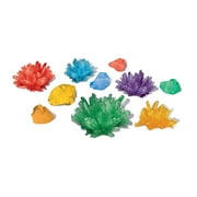 NSI Smithsonian Crystal Growing STEM Science Kit - Age Group 10 Years and up