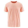 thumbnail image 1 of NSLGXD Men's Quick Dry Workout Shirts Big and Tall Moisture Wicking Tees Athletic Running Short Sleeve T-Shirts Lightweight Gym Active Tops, 1 of 6