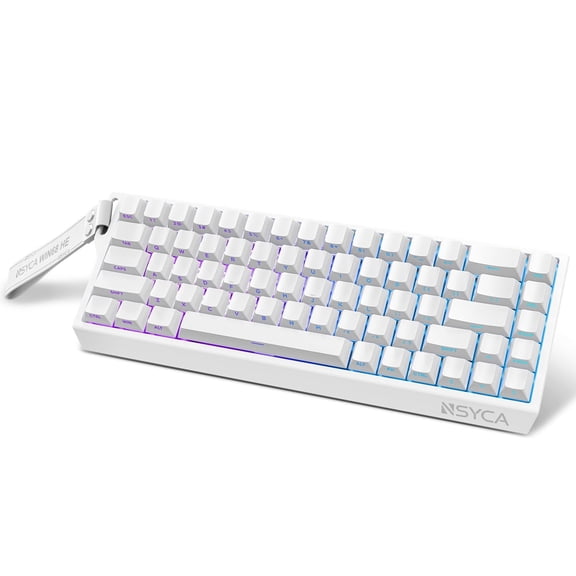WIN68 HE 60% Mechanical Keyboard Wired, Hall Effect Gaming Keyboard Magnetic Switch Hot Swappable, Adjustable Actuation Rapid Trigger Mode 8000Hz Polling Rate, RGB Keyboard 60 Percent Design - White