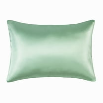 NT Bay 100% Mulberry Silk Toddler Pillowcase 1 Pack, Natural Travel Pillow Cover, 13" x 18", Green