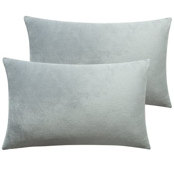 NT Bay 2 Pack Velvet Queen Pillowcases, Super Soft and Cozy Luxury Solid Color Zippered Pillow Cases, 20 x 30 Inches, Light Gray