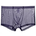 thumbnail image 1 of NTACZA Breathable Mens Briefs Mesh Ice Silk Boxer Briefs Comfy See Through Boxer Briefs for Men Pack M, 1 of 2
