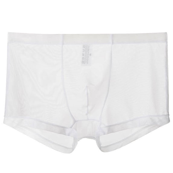 NTACZA Ice Silk Mens Briefs Mesh Breathable Boxer Briefs Comfy See Through Mens Boxers Briefs L