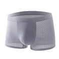thumbnail image 1 of NTACZA Mens Underwear Mesh Gray Breathable Cotton Boxer Briefs Stretch See Through Seamless Underpants for Men XL, 1 of 5