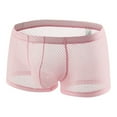 thumbnail image 1 of NTACZA See Through Underwear for Men Pack Breathable Mesh Boxer Briefs Ice Silk Quick Dry Men Briefs L, 1 of 4