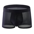 thumbnail image 1 of NTACZA Underwear for Men Pack See Through Breathable Mesh Boxer Briefs Stretch Ribbed Underpants for Men L, 1 of 2