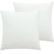 NTBAY 2 Pack Velvet Throw Pillow Cover, Soft Decorative Square Pillowcase, Cushion Cover with Hidden Zipper, 20"x20", White