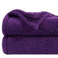 thumbnail image 1 of NTBAY Fluffy Sherpa Throw Blanket for Couch Sofa, Ultra Soft, Warm and Lightweight Shaggy Blanket, 51"x67", Purple, 1 of 5