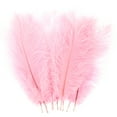 thumbnail image 1 of NUAHRHY 10pcs Ostrich Feather Multi-Color Ostrich Feather Plume Decorative Pink Gold Purple Feather Craft Fashion DIY Large Feather Party Centerpieces for Home Wedding Party Decor, 1 of 9