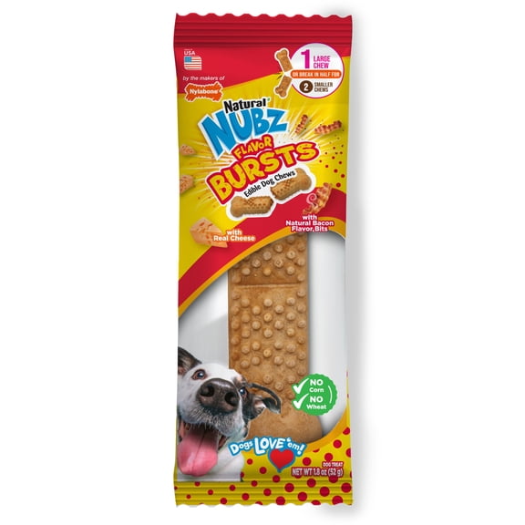 Nylabone Nubz Chicken Dog Chew Treats Large (1 Count)