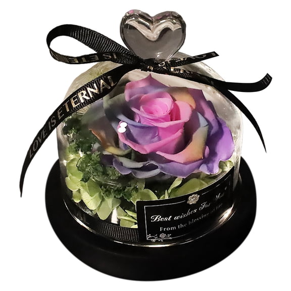 NUOKO Forever Preserved Real Rose in Glass Dome Gift Flower,Forever Flowers Rose,Preserved Roses in Box for Birthday, Anniversary, Valentine's Day Gift Purple