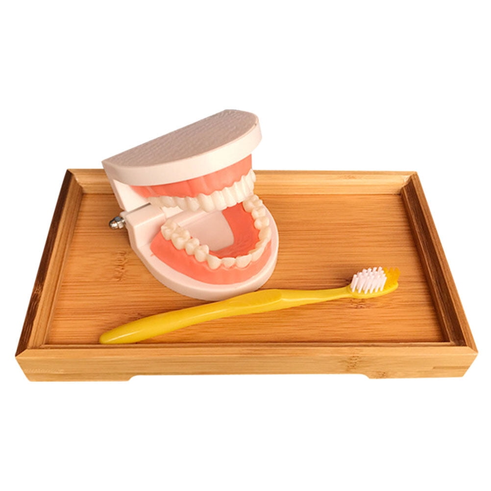 NUOLUX 1 Set Kids Teeth Brushing Toys Educational Tooth Model Toy for