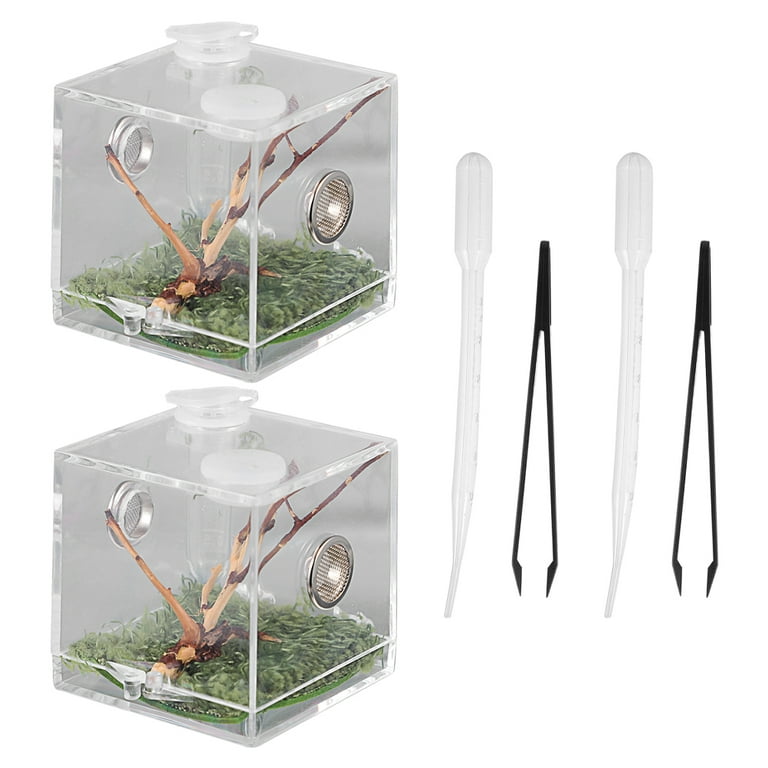 Nuolux 1 Set of Jumping Spider Enclosure Box Spider Habitat Box Acrylic Insects Feeding Case, Infant Unisex, Size: 5.2X5.2X5.2CM