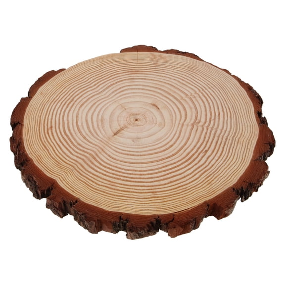 NUOLUX Decorative Wood Logs Set in Beige for Lawn Ornaments, Garden Pathways, Outdoor and Indoor Rustic Decor