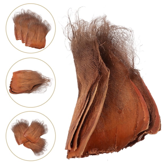 NUOLUX 3Pcs Decorative Tree Bark Coconut Tree Bark Irregular Shape Natural Style Pipeline