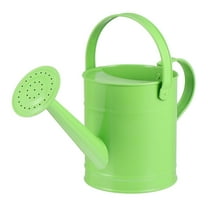 NUOLUX Metal Watering Can for Indoor and Outdoor Plants, Small Garden Flower Pot Sprayer with Spout, Decorative and