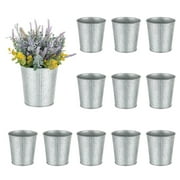 NUPTIO Small Metal Galvanized Flower Bucket Vases for Flower Bar Supplies 5 12 Pcs