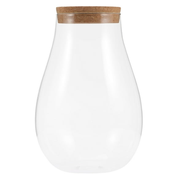 NUTEDOM Hydroponic Glass Vase with Cork Lid for Terrarium Plants