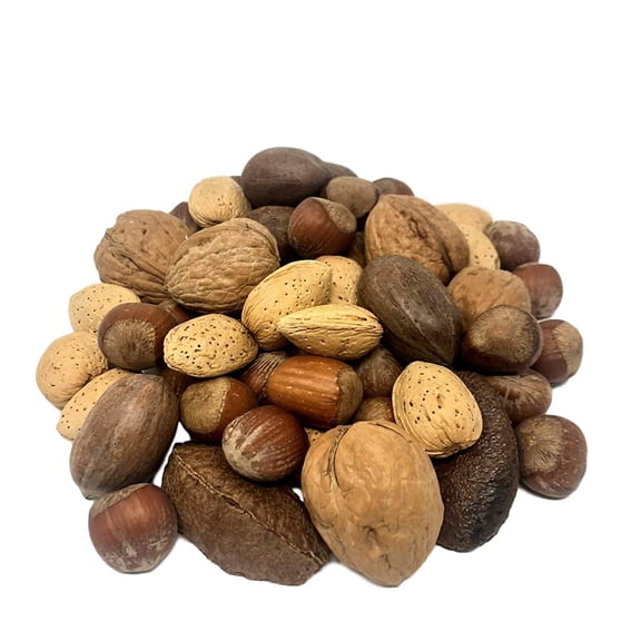 NUTS U.S. Mixed Nuts In Shell (Almonds, Walnuts, Hazelnuts, Pecans, Brazil Nuts) | No Added Colors and No Artificial Flavors | Fresh Buttery Taste and Raw |Packed In Resealable Bags!!! (1 LB)