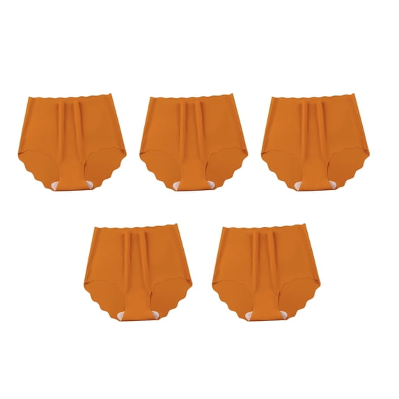 NUZYZ 5 Pcs Women Seamless Underwear High-Waisted No Show Stretchy Ice Silk Briefs Side Invisible Panties