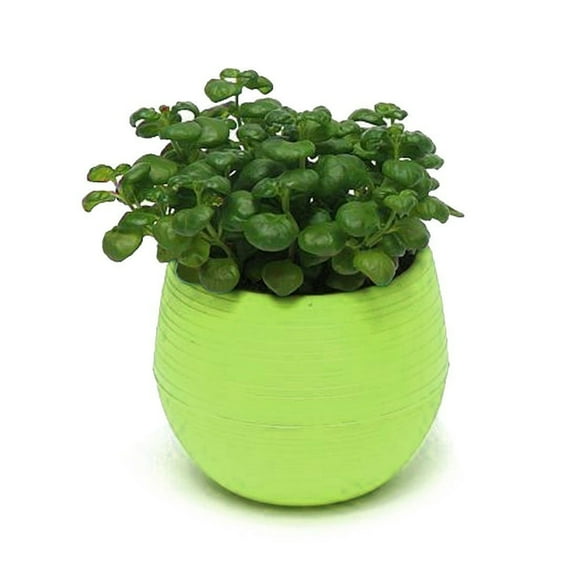 NUZYZ Succulent Plants Flower Pot Saucer Tray Planter Home Desk Garden Decor