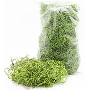 NW Wholesaler, 2 oz bag of Light Green Spanish Moss For Floral Design, Terrariums, Fairy Gardens, Arts and Crafts