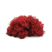 NW Wholesaler, 2 oz bag of Red Preserved Reindeer Moss For Floral Design, Terrariums, Fairy Gardens, Arts and Crafts