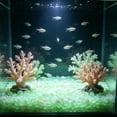 thumbnail image 1 of NWOKYZGH 100pcs Glow in the Dark Fish Tank Aquarium Gravel, Rocks, Glowing Pebbles Luminous Stones for Aquarium Succulent Garden Gift Decoration, 1 of 6