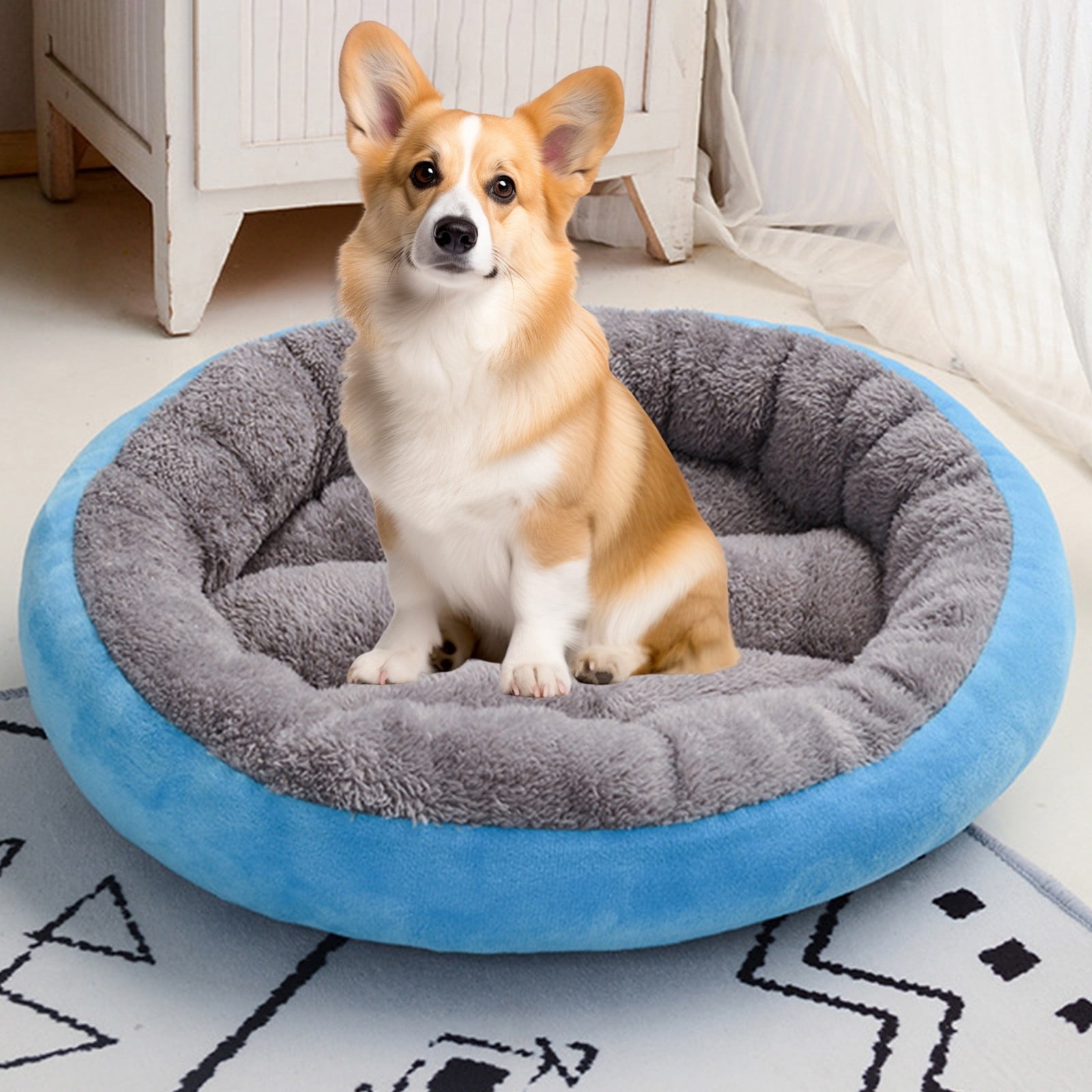 Illustration of Strong Anti Anxiety Pet Products