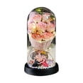 thumbnail image 1 of NWOKYZGH Preserved Flowers Roses in Dome with Light Decor Rosas Eternas for Women Mom Birthday, forever Roses Valentine's Day Gift for Delivery, for Wife Girlfriend Her, 1 of 4