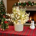 thumbnail image 1 of NWOKYZGH Small Christmas Tree Artificial Mini Tabletop Christmas Tree with Lights Christmas Ornaments Pine Cone Branches Red Berries for Christmas Party Home Indoor Decoration, 1 of 6