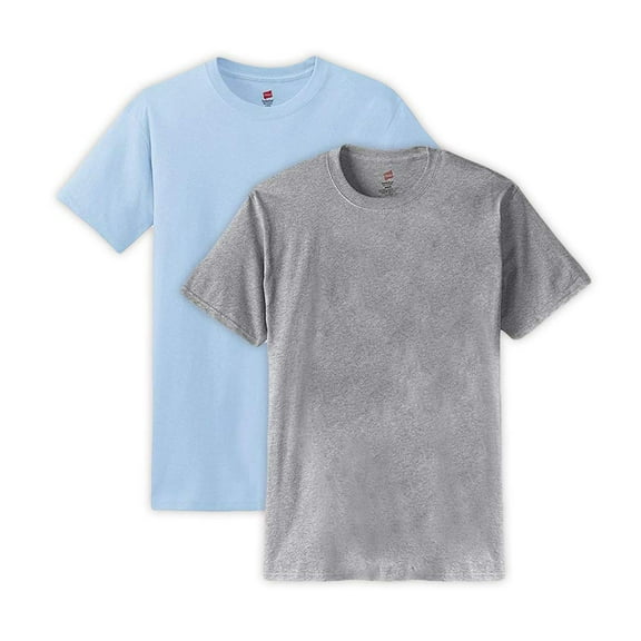 Hanes Mens 5.2 oz HEAVYWEIGHT Short Sleeve T-shirt (Pack of 2) (1 Light Steel / 1 Light Blue)