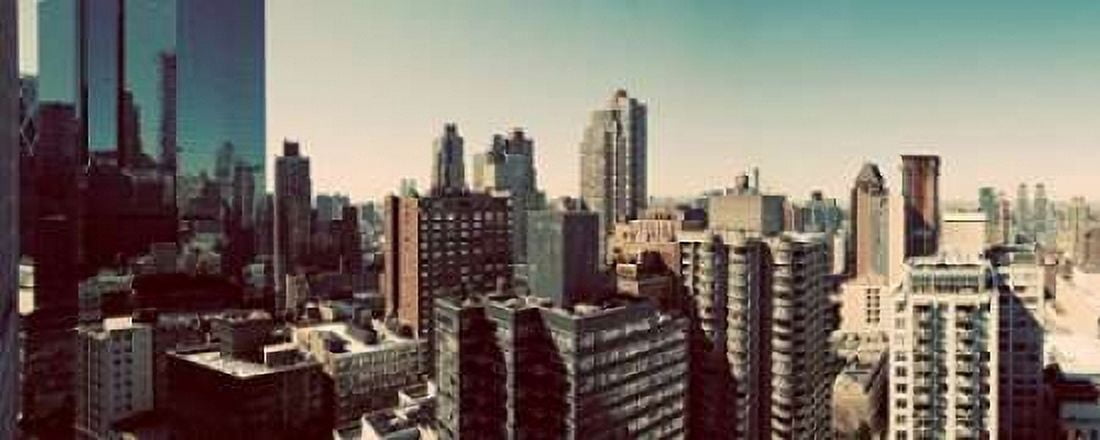 NY Panorama Canvas Art - Susan Bryant (24 x 48)
