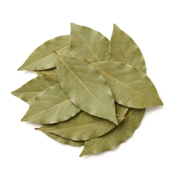 NY SPICE SHOP Bay Leaves - 1 Pound - Bay Laurel - Sweet Bay - Laurel Leaf - Tej Patta