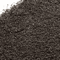 thumbnail image 1 of NY SPICE SHOP Black Cumin Seed Powder - 1 Pound - Nigella Sativa Powder - Black Seed Powder - Finely Ground Kalonji Seeds Powder - Kalonji Powder - Aromatic Powder for Cooking & Seasoning, 1 of 1