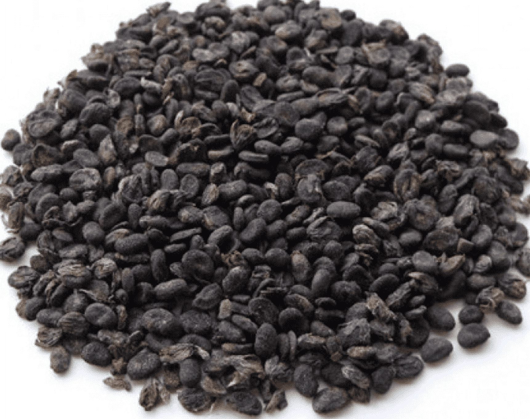 NY SPICE SHOP Bu Gu Zhi - 3 Pound - Psoraliae Fruit