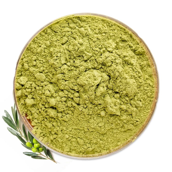 NY SPICE SHOP Damiana Leaf Powder - 1 Pound - Turnera Diffusa - Turnera Aphrodisiaca Powder - Herba de la Pastora Powder