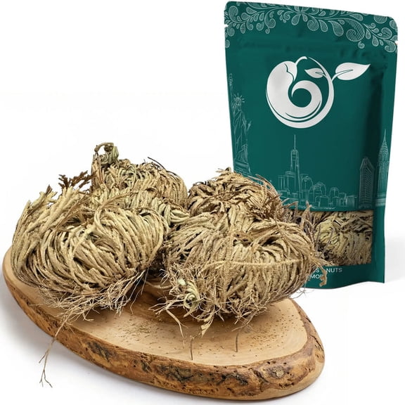 NY SPICE SHOP Doradilla Asplenium Ceterach - 04 Ounce - Rustyback Fern - Scale Fern - Ceterach Officinarum - Doradilla Jericho Flower