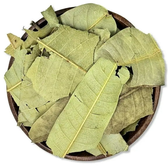 NY SPICE SHOP Dried Mango Leaves - 08 Ounce - Mangifera Indica