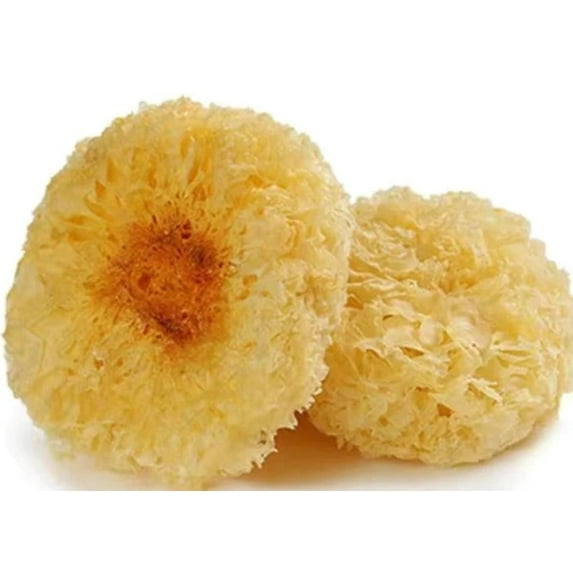 NY SPICE SHOP Dried Tremella Mushroom - 04 Ounce - Snow Mushroom - Silver Ear Mushroom - Bai Mu Er - White Jelly Mushroom