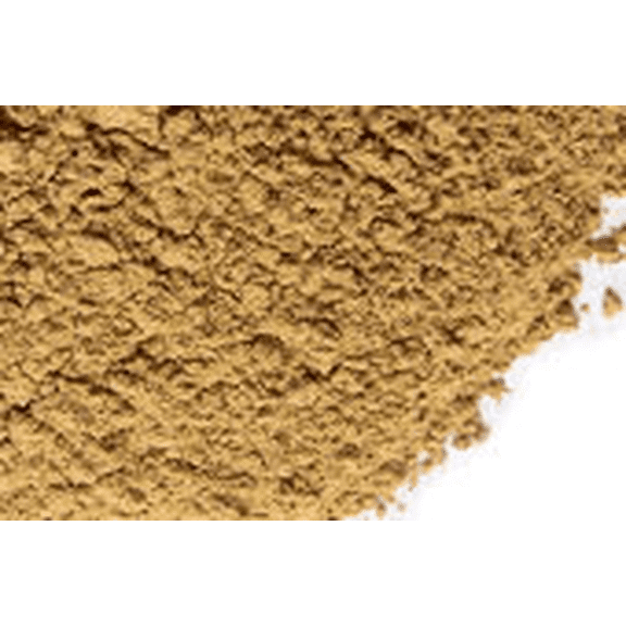 NY SPICE SHOP Hops Flowers Powder - 1 Pound - Hops Powder - Humulus Lupulus - Common Hops