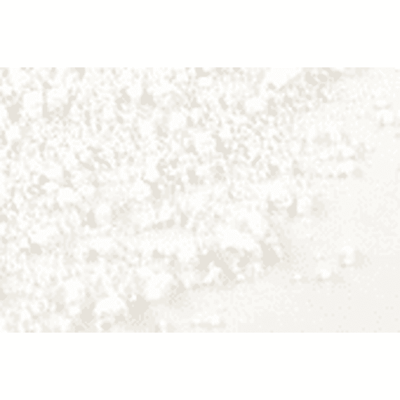 NY SPICE SHOP Kaolin Clay Powder - 1 Pound