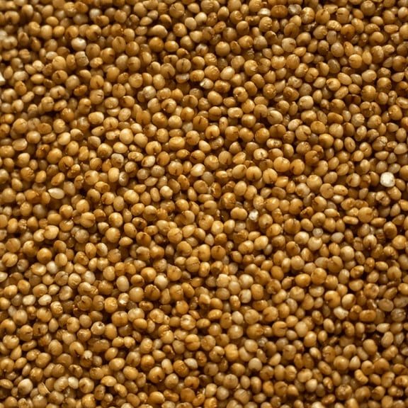 NY SPICE SHOP Kodo Millet Seeds - 3 Pound - Whole Natural Millet Bajra Grain - Ancient Traditional Cereal - Versatile Ingredient for Cooking Porridge Pilafs Flour Milling Flatbreads