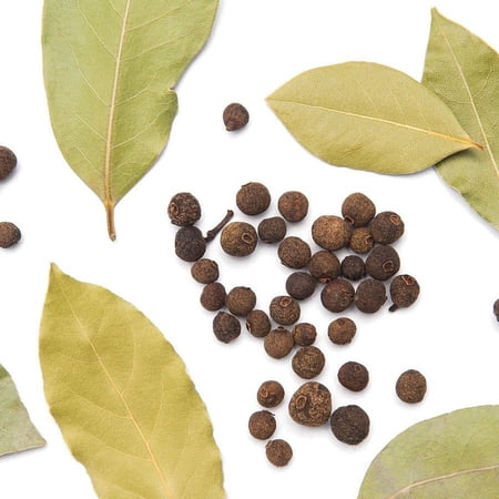 NY SPICE SHOP Pimento Leaf - 1 Pound - Pimenta - Berry of Pimenta Dioica