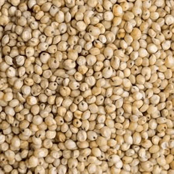 NY SPICE SHOP White Whole Grain Sorghum - 5 Pound - Juwar Millet (Sorghum) Whole Ancient Grain Seeds - Great Millet Sorghum - Great Plains White Sorghum Grain