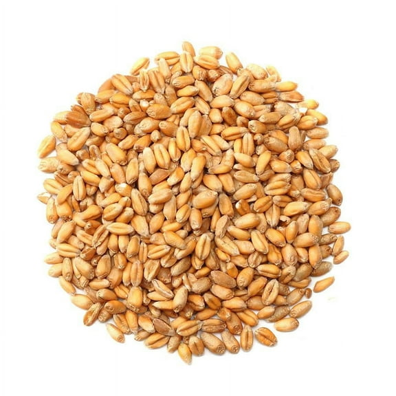 NY Spice Shop Whole Wheat - 5 Pound - Whole Grain Wheat - Rich & Earthy Flavor - Ideal for Baking, Cooking & Grinding - Traditional Kitchen Essential