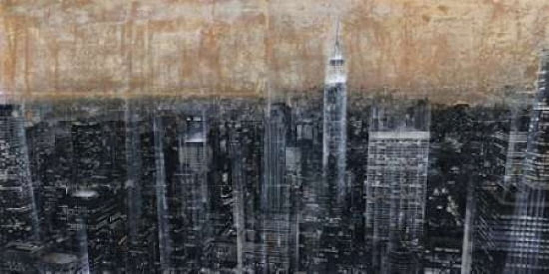 NYC Aerial 3 Canvas Art - Dario Moschetta (10 x 20)