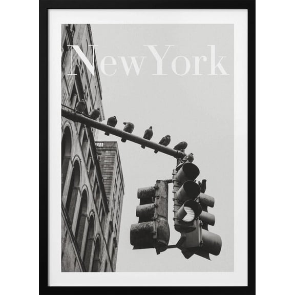 NYC Doves Framed Art Modern Wall Decor