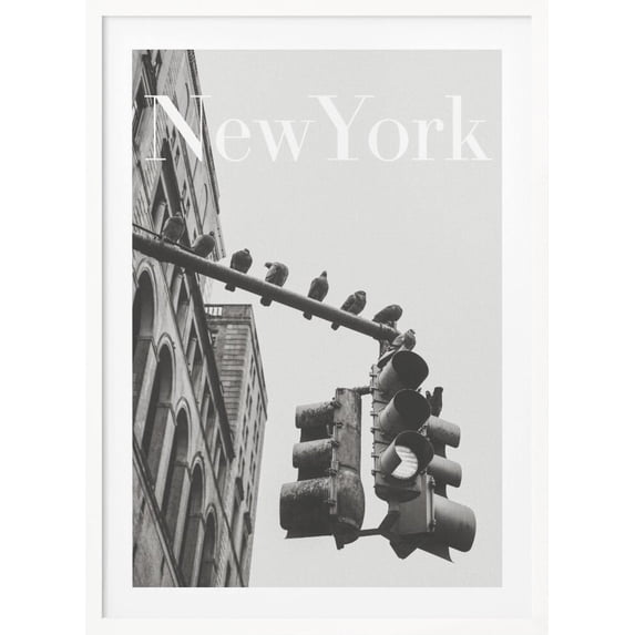 NYC Doves Framed Art Modern Wall Decor
