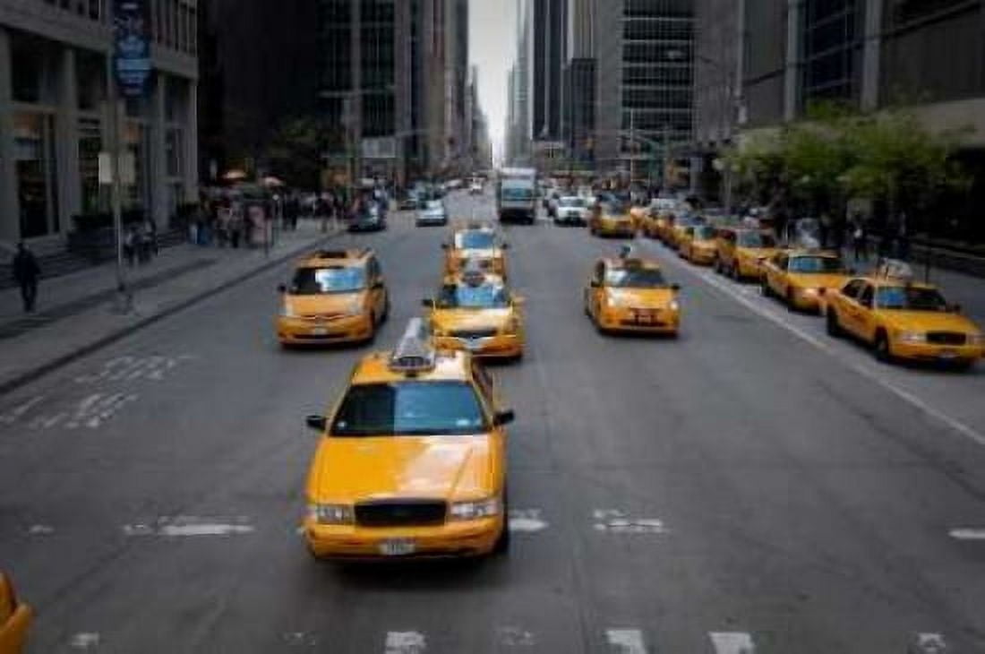 NYC Taxi Cabs Canvas Art - Erin Berzel (20 x 28)